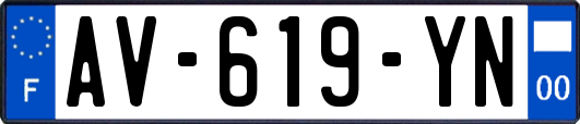 AV-619-YN
