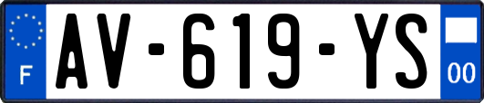 AV-619-YS