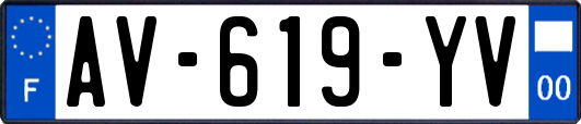 AV-619-YV