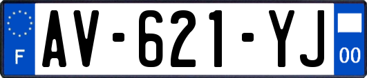 AV-621-YJ