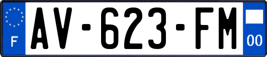 AV-623-FM