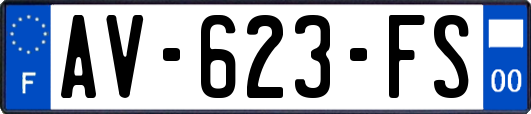 AV-623-FS