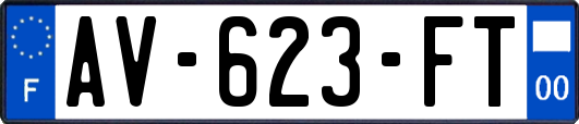AV-623-FT