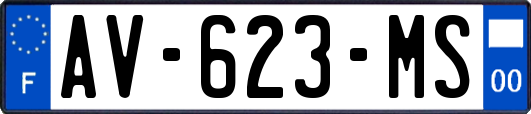 AV-623-MS