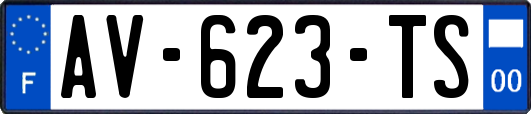 AV-623-TS