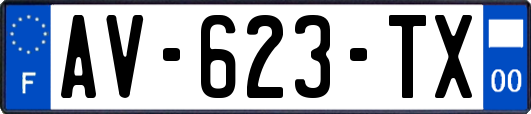 AV-623-TX