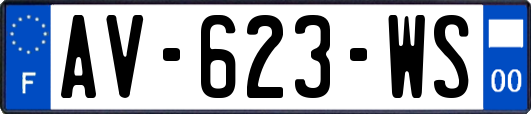 AV-623-WS