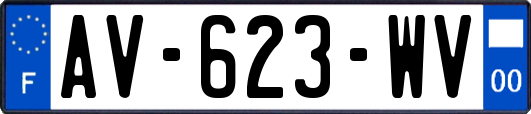 AV-623-WV