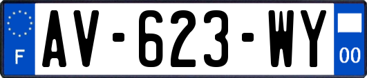 AV-623-WY