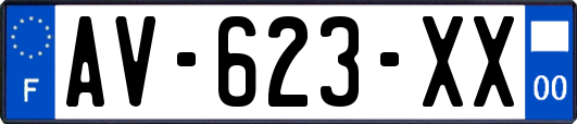 AV-623-XX