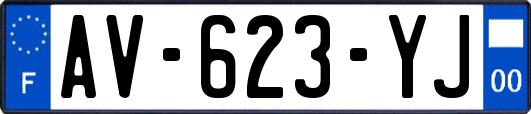 AV-623-YJ
