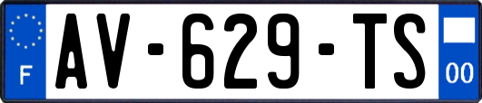 AV-629-TS