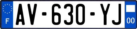 AV-630-YJ