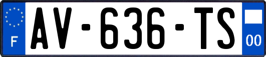 AV-636-TS