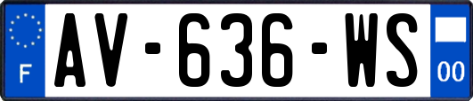 AV-636-WS