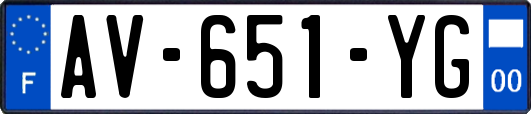 AV-651-YG