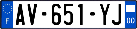 AV-651-YJ