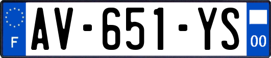 AV-651-YS