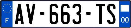 AV-663-TS