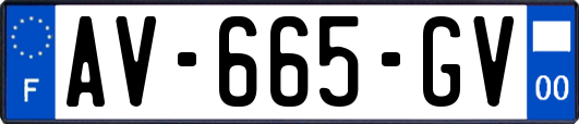 AV-665-GV