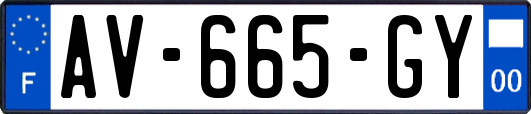 AV-665-GY