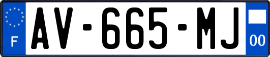 AV-665-MJ