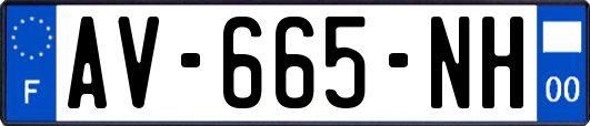 AV-665-NH