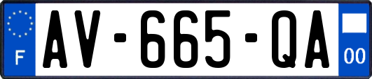 AV-665-QA