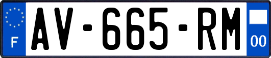 AV-665-RM