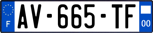 AV-665-TF