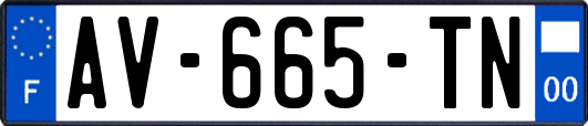 AV-665-TN