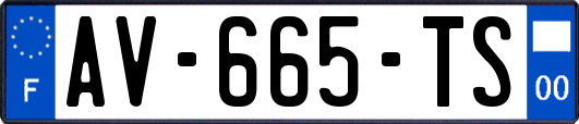 AV-665-TS