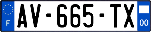 AV-665-TX