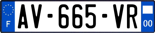 AV-665-VR