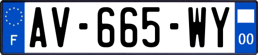 AV-665-WY