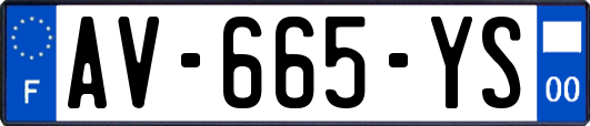 AV-665-YS