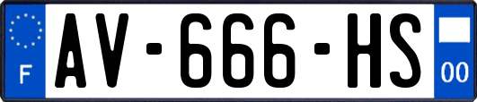 AV-666-HS