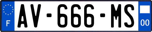AV-666-MS