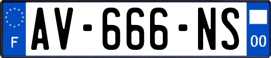 AV-666-NS