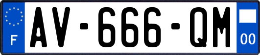 AV-666-QM