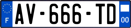 AV-666-TD