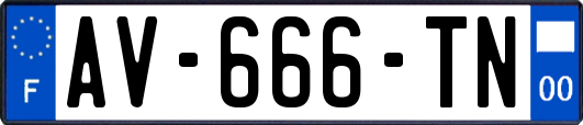 AV-666-TN