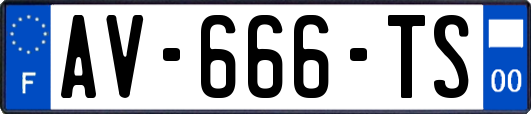 AV-666-TS