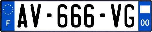 AV-666-VG