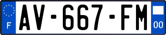 AV-667-FM
