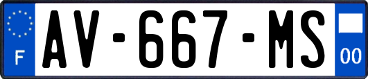 AV-667-MS