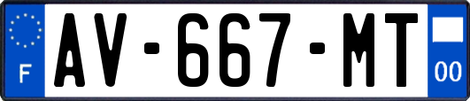 AV-667-MT
