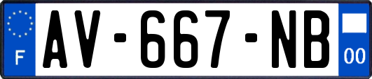 AV-667-NB