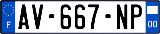 AV-667-NP