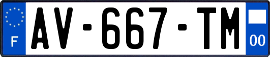 AV-667-TM